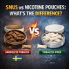 Snus vs Nicotine Pouches: What’s the Difference? - Rushnico- Nicotine Pouches USA - Express Delivery