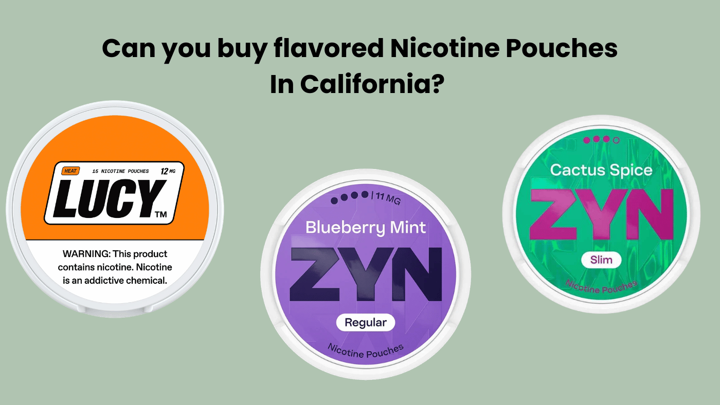 Can You Buy Flavored Nicotine Pouches in California?