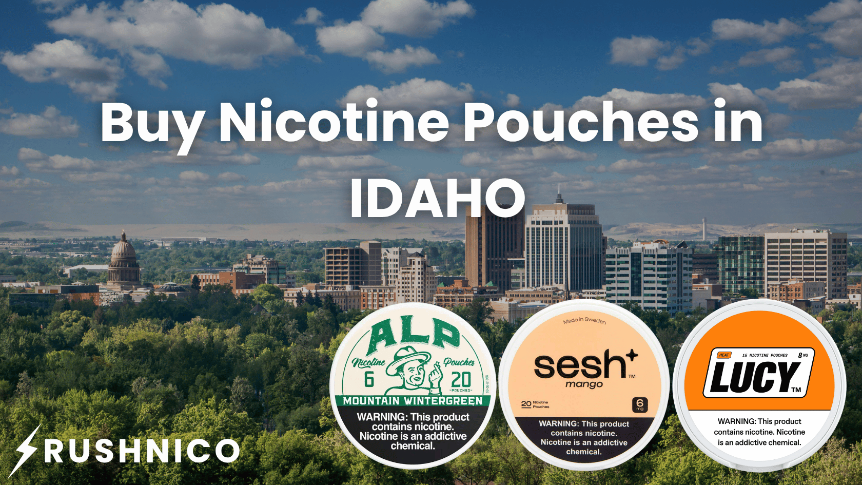 Buy Nicotine Pouches Online in Idaho