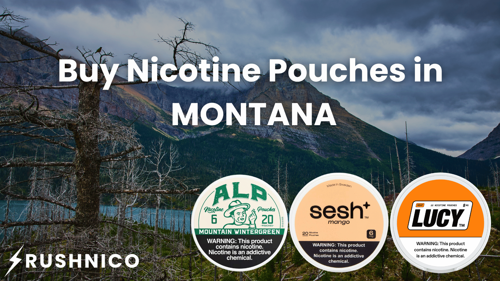 Buy Nicotine Pouches Online in Montana