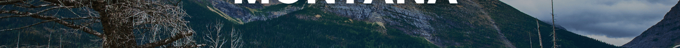 Buy Nicotine Pouches Online in Montana