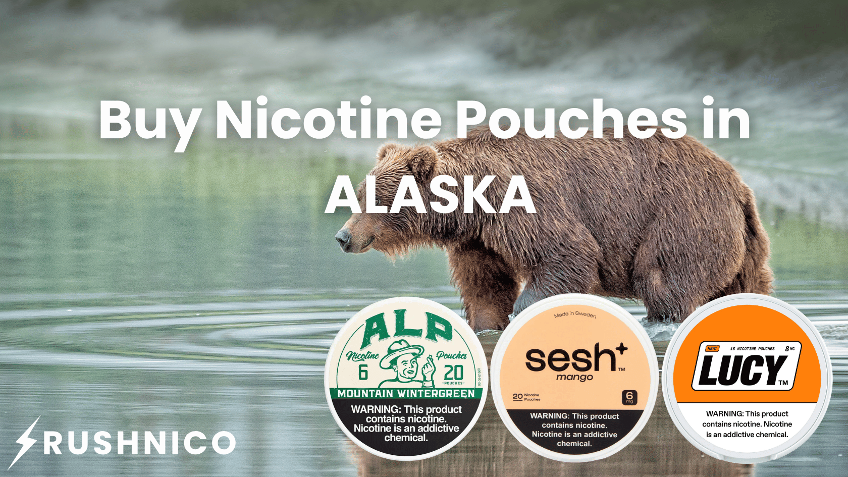 Buy Nicotine Pouches Online in Alaska