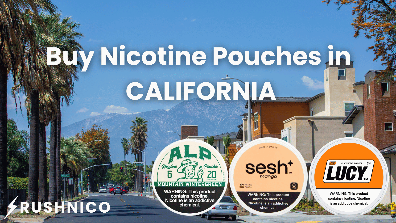Buy Nicotine Pouches Online in California