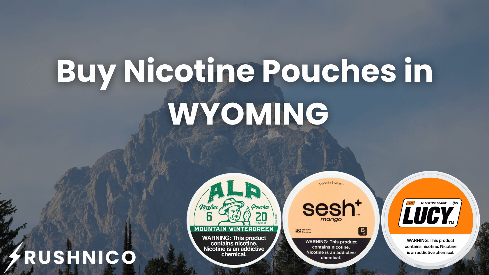 Buy Nicotine Pouches Online in Wyoming