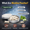 What Are Nicotine Pouches? A Beginner’s Guide to How They Work, What’s in Them, and What to Know - Rushnico- Nicotine Pouches USA - Express Delivery