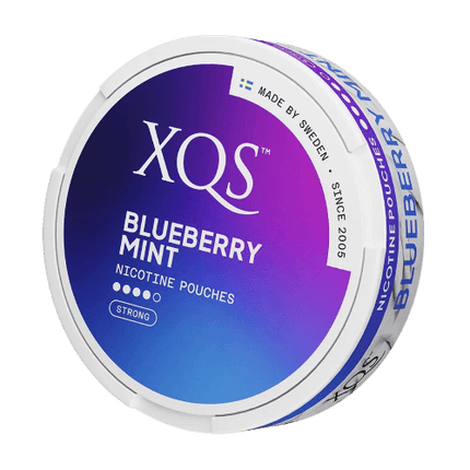 XQS Blueberry Mint - Rushnico- Nicotine Pouches USA - Express Delivery